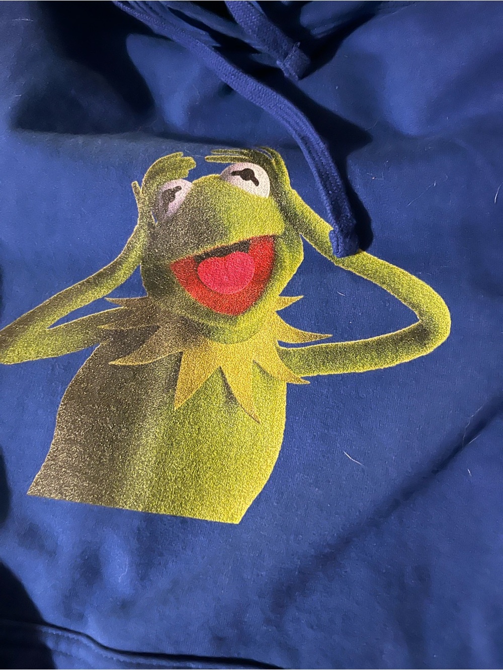 Disney Kermit the Frog Blue Pullover Hoodie – Size Small